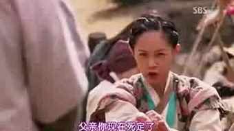 一枝梅演员表,实力派明星齐聚演绎江湖传奇