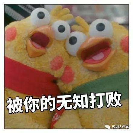 鹦鹉套路钱表情包,揭秘网络表情包中的幽默智慧