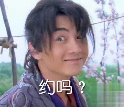 陈晓丑态表情包